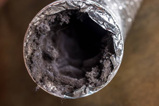 Best Affordable HVAC Duct Cleaning  in Jupiter, FL